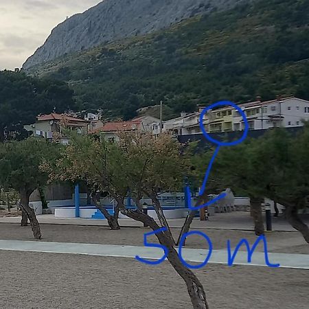 Bugenvilija Дуче Экстерьер фото