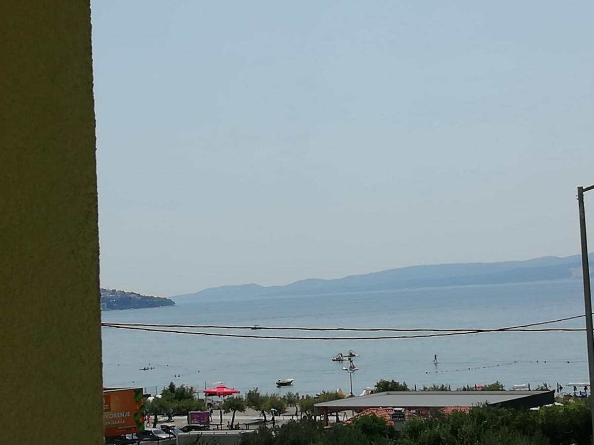 Bugenvilija Дуче Экстерьер фото