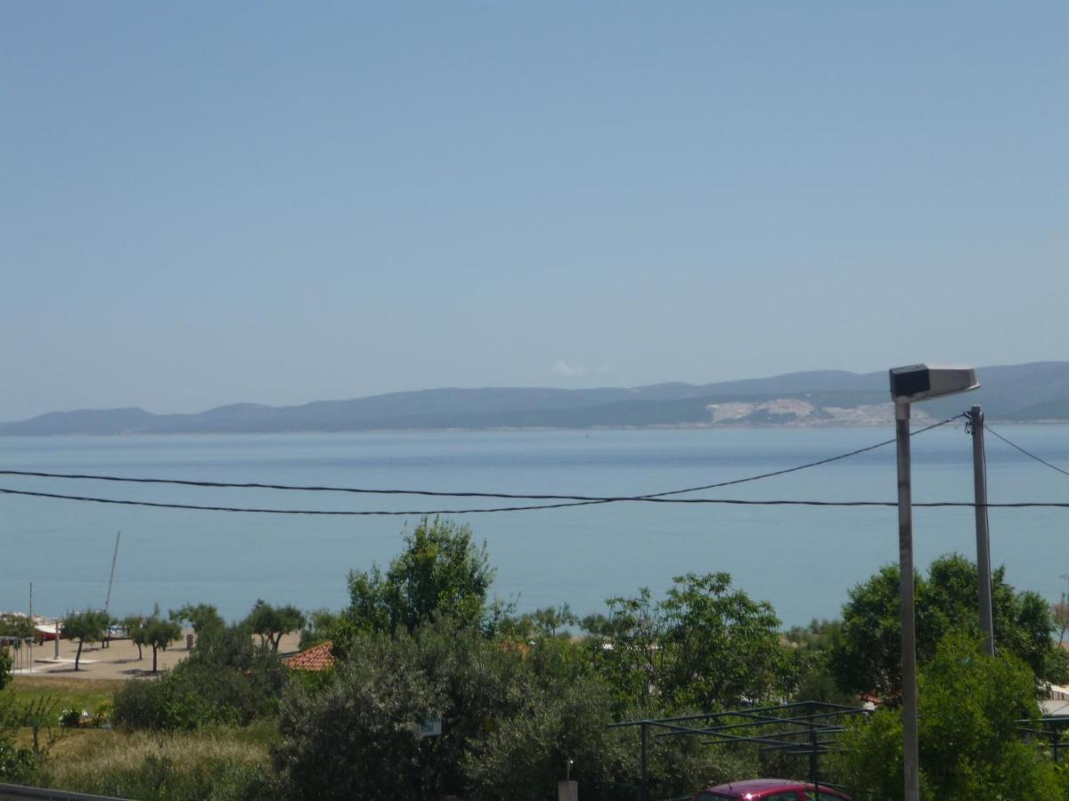 Bugenvilija Дуче Экстерьер фото