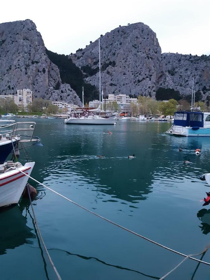 Bugenvilija Дуче Экстерьер фото