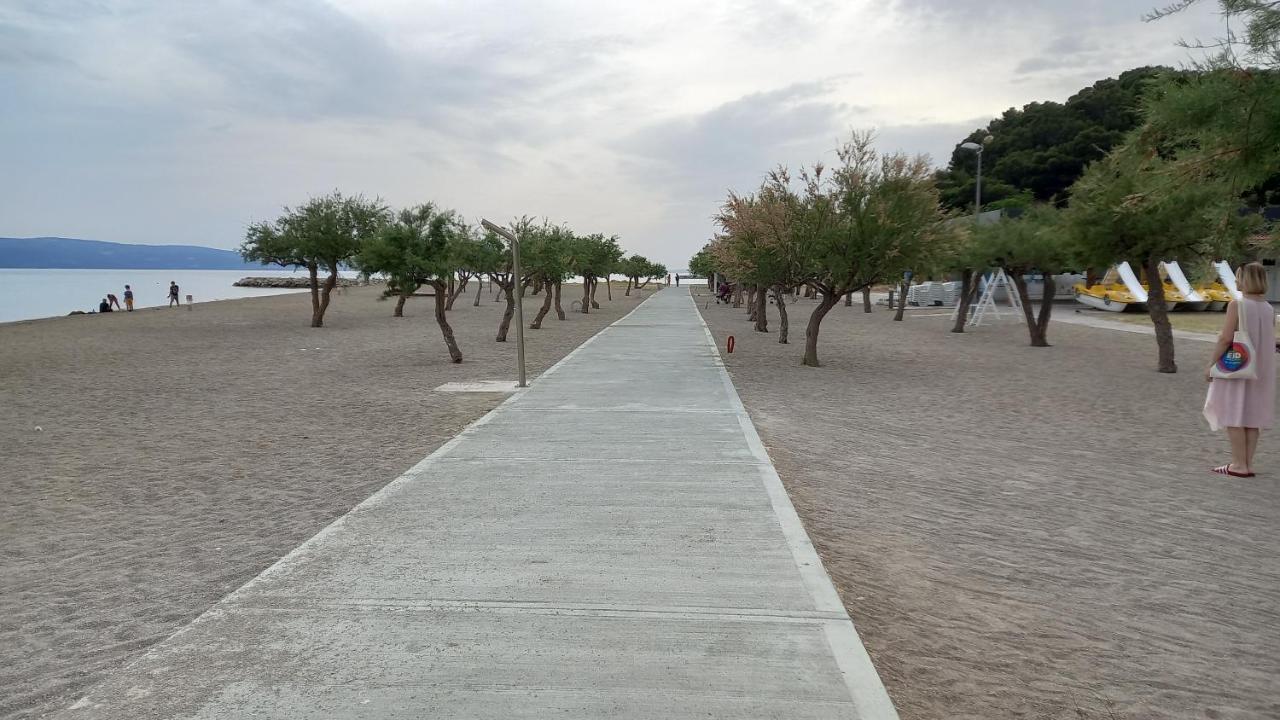 Bugenvilija Дуче Экстерьер фото