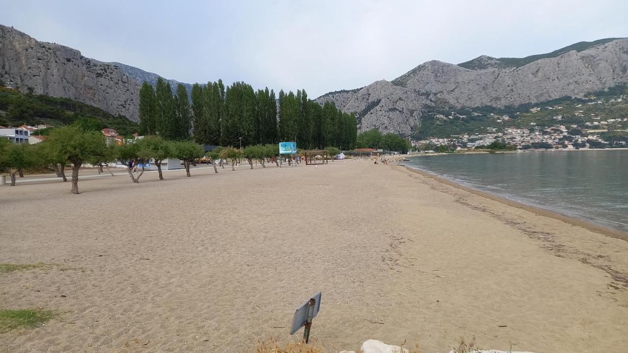 Bugenvilija Дуче Экстерьер фото