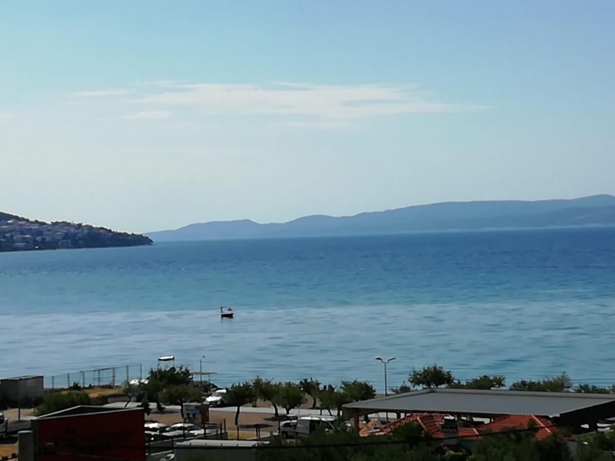 Bugenvilija Дуче Экстерьер фото