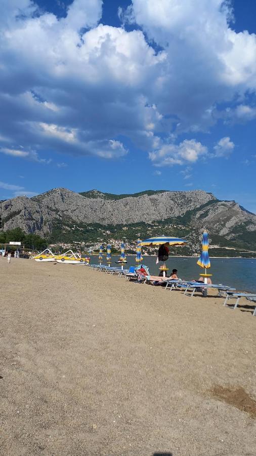 Bugenvilija Дуче Экстерьер фото